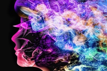 Caractéristiques du zodiac